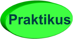 Praktikus