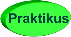 Praktikus