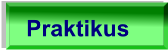 Praktikus